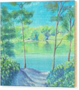 Blue Lake Ii Wood Print