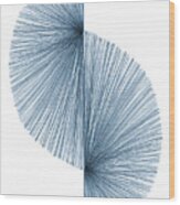 Blue Mid Century Modern Geometric Line Drawing 2 Wood Print