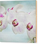 Blue Orchid Arch Wood Print