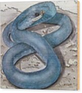 Blue Racer Snake Wood Print