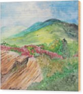 Blue Ridge Mountains Wood Print