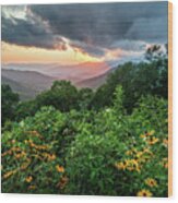 Blue Ridge Parkway Asheville Nc Wildflower Sunset Scenic Wood Print