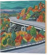 Blue Ridge Parkway Viaduct Wood Print
