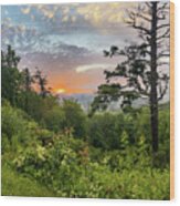 Blue Ridge Scenic Wood Print