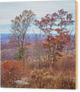 Blue Ridge Trees In Fall Wood Print