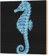 Blue Seahorse On Black Wood Print