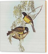 Blue Shining Flycatcher, Piezorhynchus Nitidus Wood Print