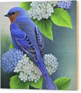 Bluebird In The Hydrangeas Wood Print