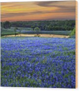 Bluebonnet Lake Vista Texas Sunset - Wildflowers Landscape Flowers Pond Wood Print