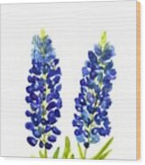 Bluebonnets Blue Flowers Watercolor Wood Print