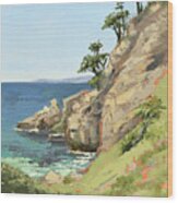 Bluefish Cove - Point Lobos Wood Print