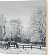 Bluegrass Horse Farm Ir Wood Print