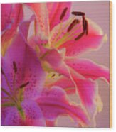 Bold And Pink Oriental Lilies 6 Wood Print