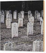 Bonaventure Veterans Headstones Wood Print