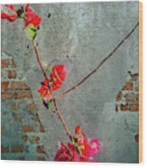 Bougainvillea Wood Print