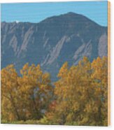 Boulder Flatirons And Mighty Cottonwood Trees Wood Print