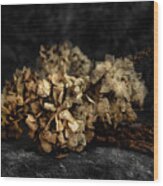 Bouquet Of Dried Hydrangea Flowers Wood Print