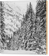 Bow Valley Parkway In Winter Wood Print