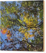 Boyden Xv Autumn Reflection Color Wood Print