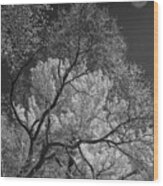 Branches In Infrared Wood Print