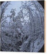 Brandywine Falls In A Snow Globe Wood Print