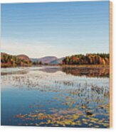 Brant Lake Adirondack Wood Print