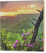 Breaks Interstate Park Ky Va Sunset Scenic Rhododendron Wood Print