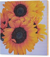 Bright And Beautiful Sunflowers 5 Wood Print