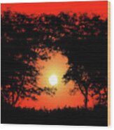 Brilliant Sunrise Silhouette Landscape Wood Print