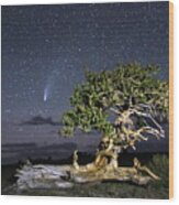 Bristlecone Perseverance And Comet Neowise Wood Print