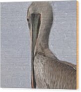Brown Pelican In Paint Wood Print