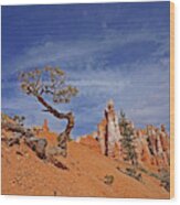 Bryce Canyon National Park - Shaped By The Wind Wood Print