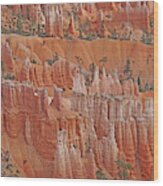 Bryce Canyon National Park - Hoodoos Closeup Wood Print
