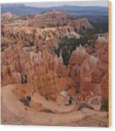 Bryce Canyon National Park - Hiking Trail Wood Print