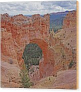 Bryce Canyon National Park - Window Wood Print