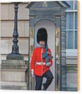 Buckingham Palace Guard Wood Print