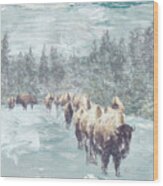 Buffalo Herd Wood Print
