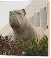 Bulldog At South Carolina State University Orangeburg Usa Wood Print