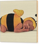 Bumblebee #6 Wood Print