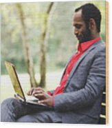Businessman Working With Laptop In Park Wood Print