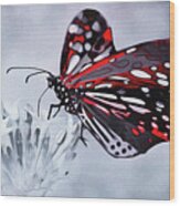 Butterfly Aflame Wood Print