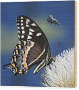 Butterfly And Bee #1068 Wood Print