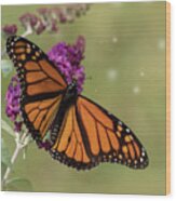 Butterfly Art Wood Print