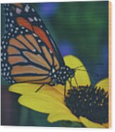 Butterfly Flower Wood Print