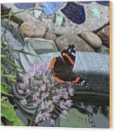 Butterfly Garden Wood Print