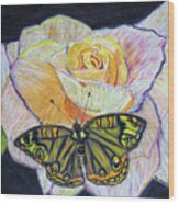 Butterfly On A Rose Wood Print