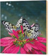 Butterfly World - Florida - 5 Wood Print