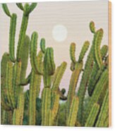 Cacti Cactus Collection - Moon Sunset Wood Print