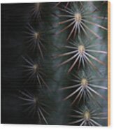 Cactus 9536 Wood Print