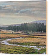 California Mountains Tioga Meadow Stream Panorama Wood Print